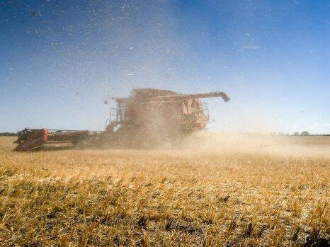 Farmers warned to remain alert for fire risk during harvest as temperature soars