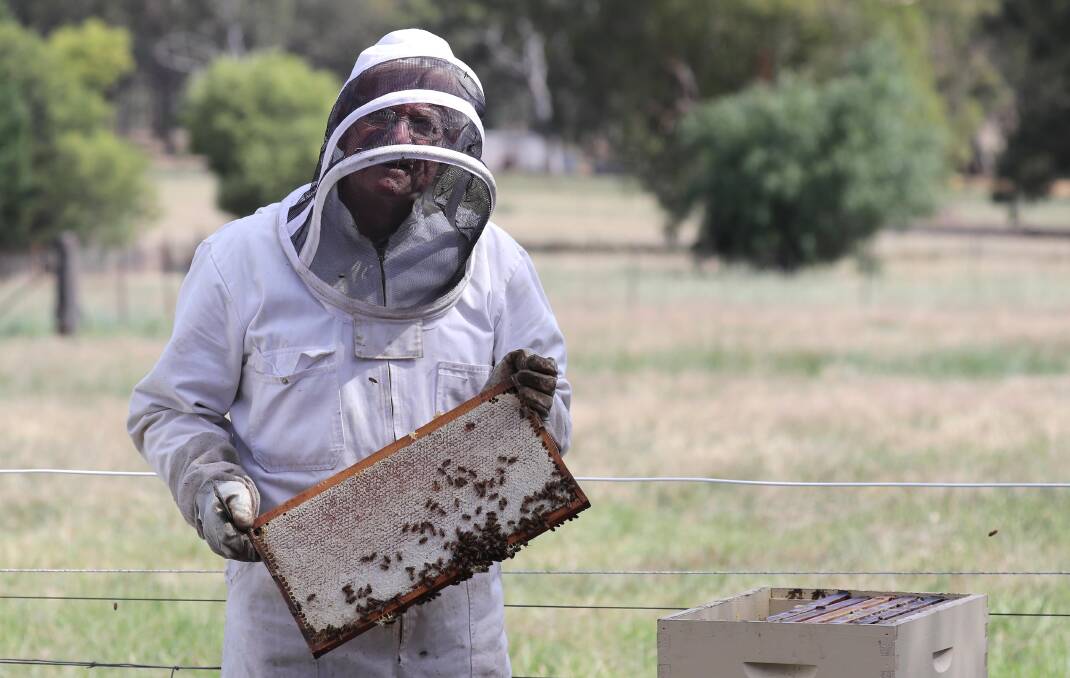 SWEET HOBBY: Neil McMullen tends to some of his Wagga hives. Picture: Les Smith