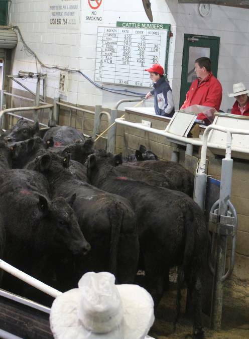 The record cattle sale