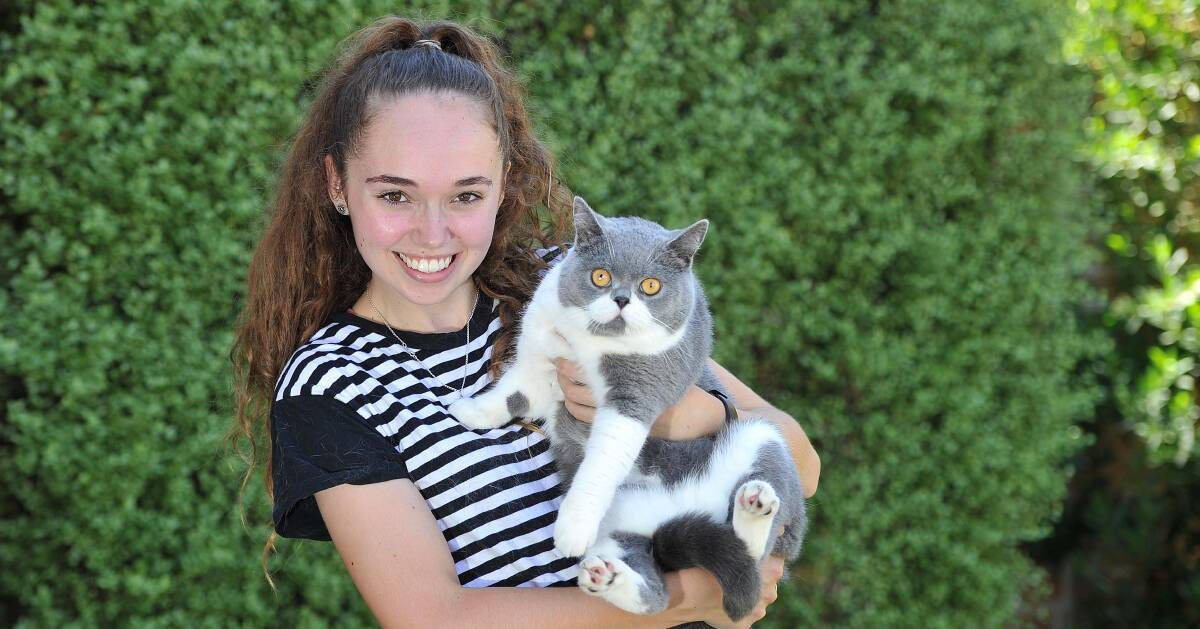 PURRFECT PLAN: Pawshake carer Georgie McGregor is one of a growing number of locals using the unique pet minding app. Picture: Laura Hardwick 