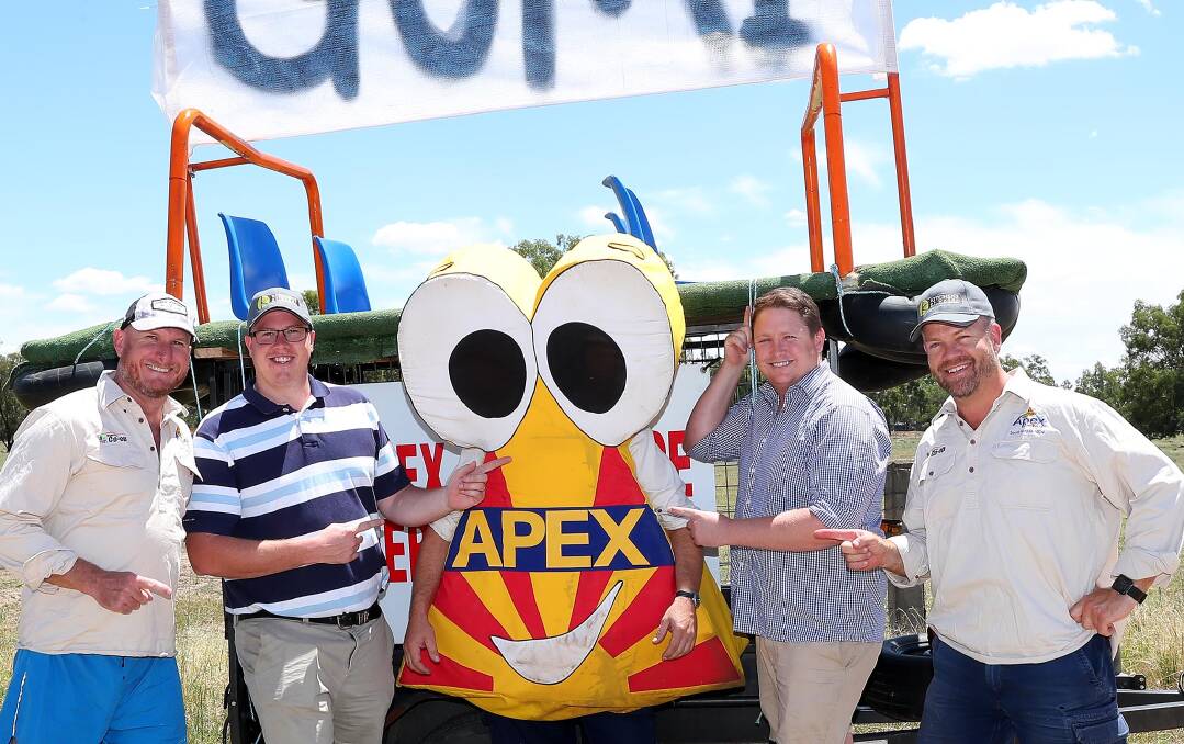 Gumi time: Organisers Mark Stephenson, Tim Sheather, Scott Bredin (as the Apex mascot), Josh Paul and Kym Crawford have placed a couple of completed Gumis around Wagga as a reminder to start building. Picture: Kieren L.Tilly.