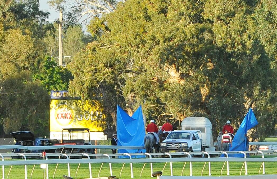 Cup death: Sheets were put up around the mare who had to be put down after suffering a suspected fractured sesamoid in the final stages of the race.