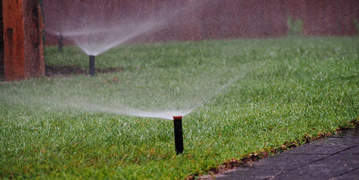 When to water: Watering daily will encourage shallow root growth, which means that when hot weather hits, or the lawn doesn’t get that daily watering, the root system dries out. 