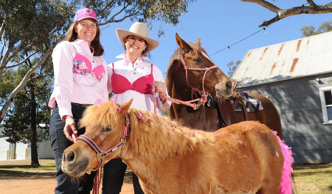PAINT IT PINK: Clare Dennis and Skye Bellamy with their horses Cashew and Tilly are organising the event for a good cause. Picture: Laura Hardwick