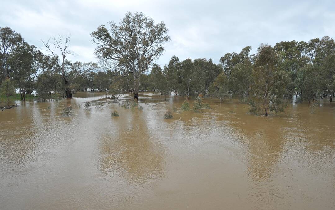 Flooding in North Wagga on Saturday morning. 