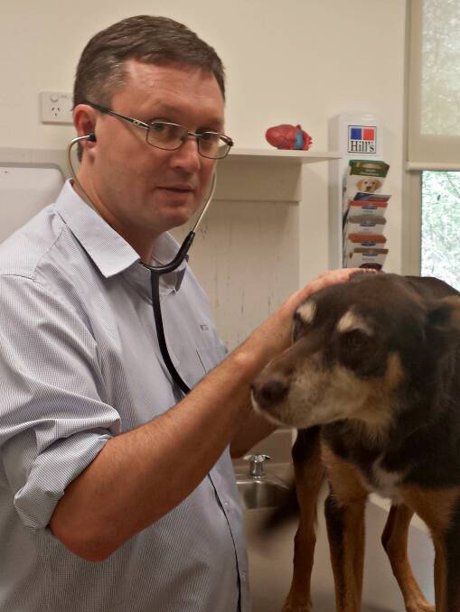 MAN'S BEST FRIEND: Academic Martin Combs is leading Wagga research to understand their risk of pet disease.