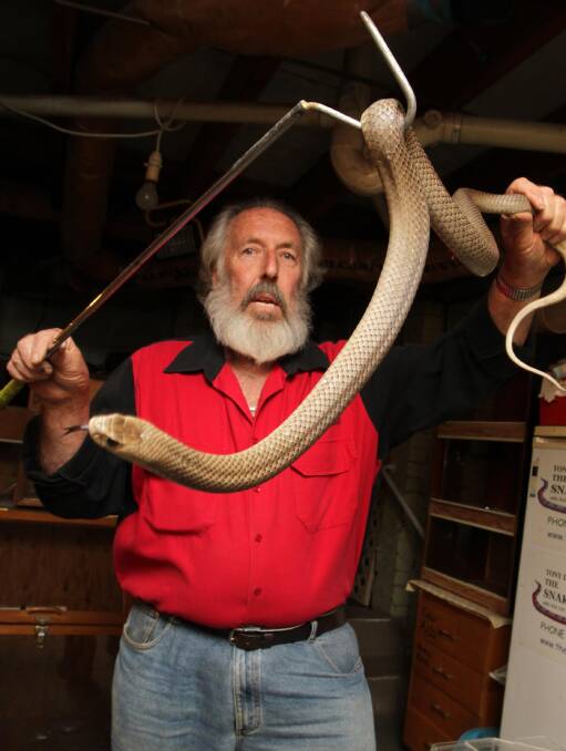 SLITHERING AROUND: Snake handler Tony Davis, with an eastern brown snake, said the reptile can become more visible and move around during flooding. Picture: Les Smith