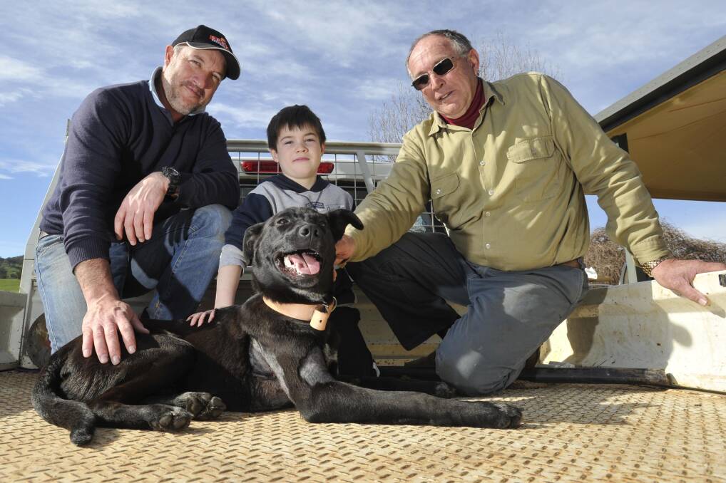 GOOD DOG: Paul Galloway, Matthew Galloway and Paul Galloway snr with Richie shortly after his return to Adelong in 2014. Mr Galloway snr said they are saddened to lose their beloved farm dog Richie.