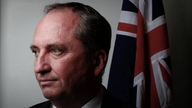 Doing it for Australia: Deputy Prime Minister Barnaby Joyce  Photo: Alex Ellinghausen