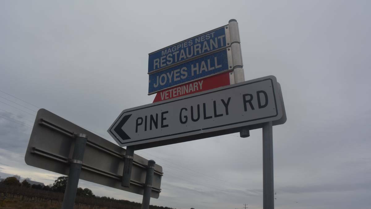 No way: Pine Gully Road changes shouted down at council | Poll