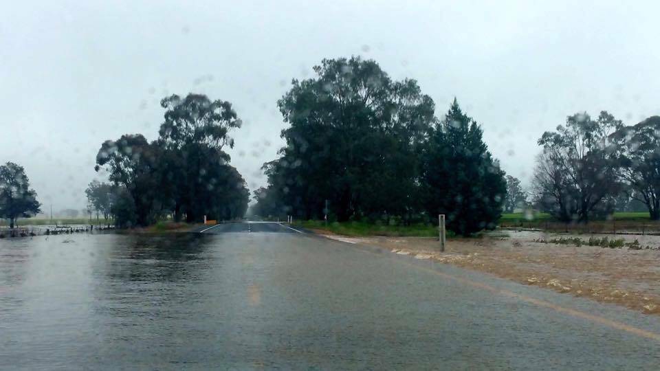 SES: "Current scene along the Burley Griffin Way East of Temora. Please remember to NEVER walk, ride or drive through floodwater". Image: NSW Irrigators.