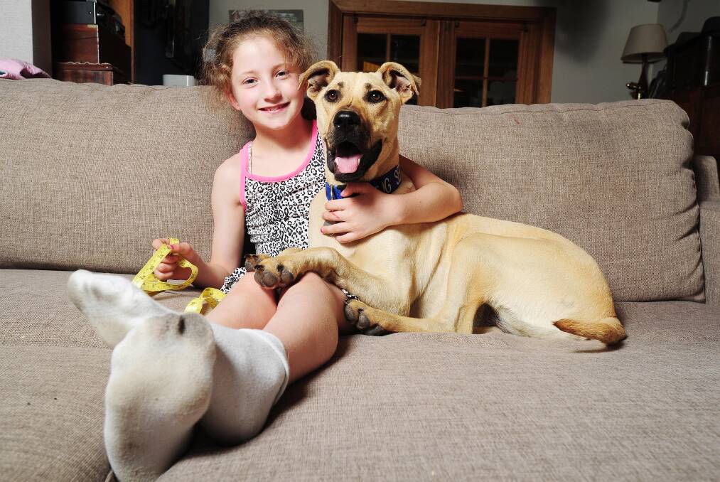Even though the accepted wisdom is to never work with children or animals, they do give you some great photos. Here's nine-year-old Gillian Huggett with her family's adopted puppy "Arna" who's only seven months old.
Pictures: Kieren L Tilly.