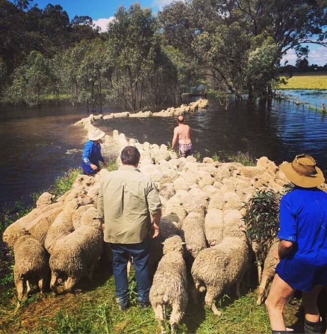 Riverina floods 2016 | Rolling coverage, Photos