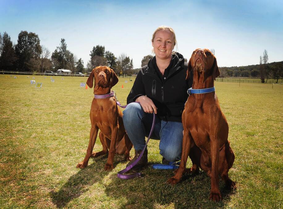DOGS' DAY OUT: Trial manager Andrea Robinson with her hungarian vizslas, Lexi and Ace. Picture: Laura Hardwick 