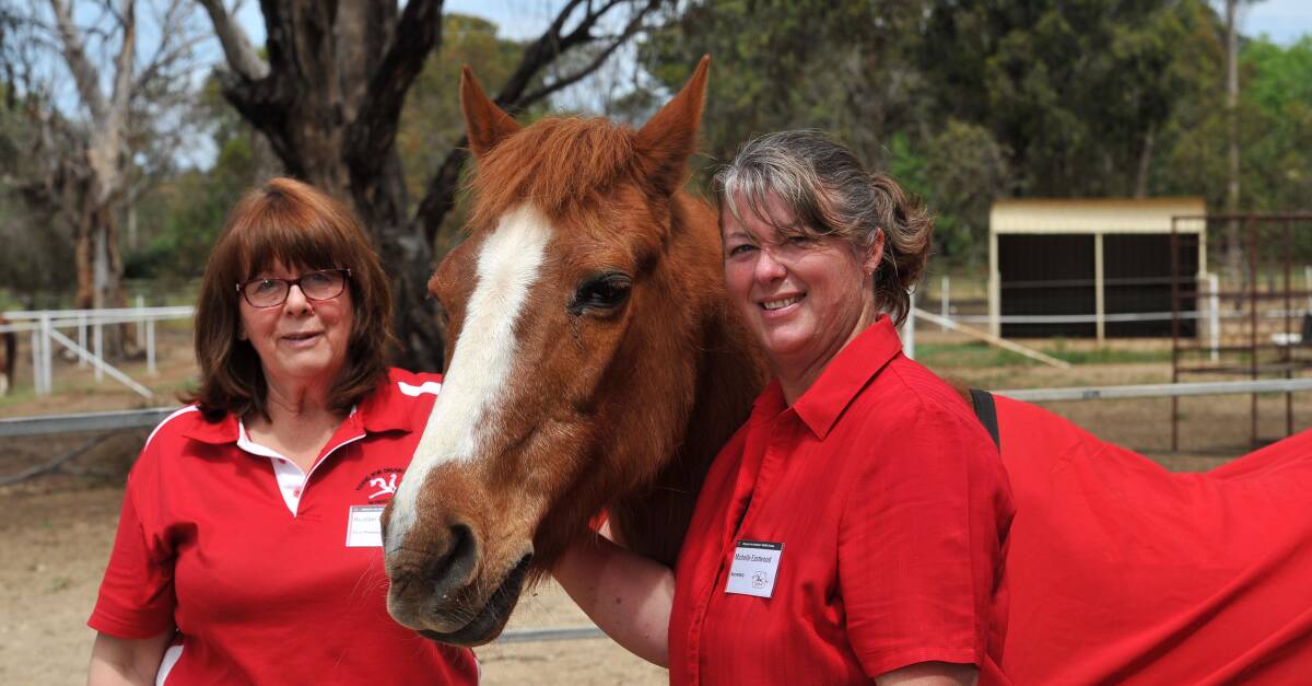GOOD CAUSE: Heather Baker (left) with Mecome the horse and Michelle Eastwood. The RDA is planning a ball to raise for an income-generating obstacle course.