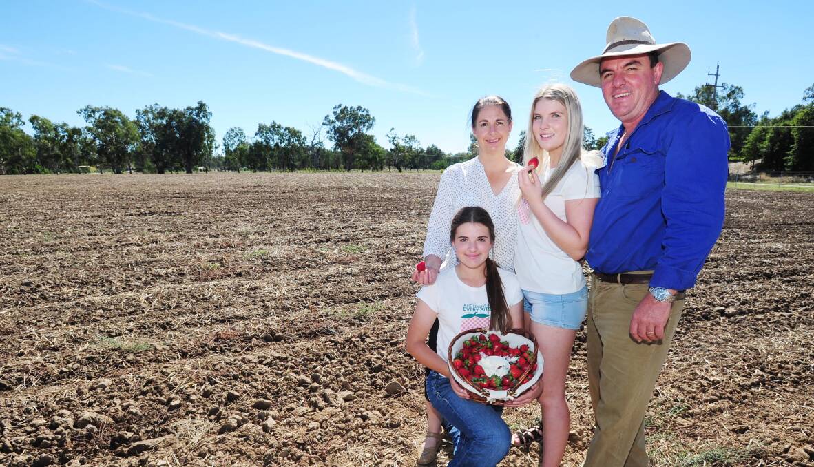 FAMILY PROJECT: The Cashen family, from left, Brooklyn (15), Kylie, Lawanna (18) and Michael hope to create a pick-your-own strawberry farm. Picture: Kieren L Tilly
