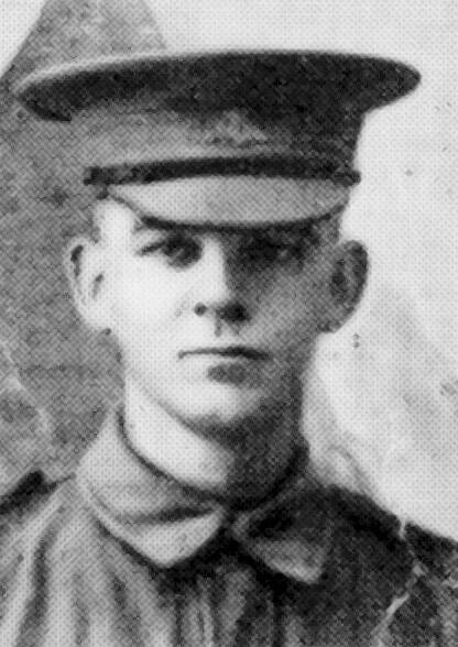 TEACHER: Arthur Gibson was a teacher at Brucedale when he signed up. He fought at Gallipoli but was forced home when he picked up a serious disorder.