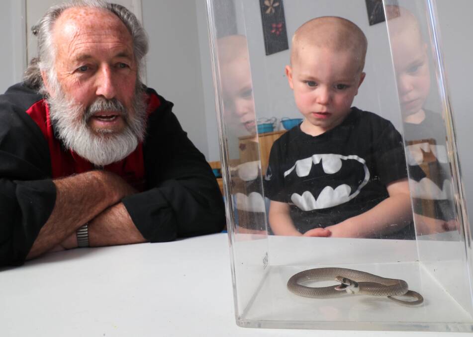 RAPTURES: Local snake-catcher Tony Davies mesmerises Alexander (3) with the little critter. Picture: Les Smith
