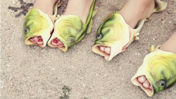 Amazon's got some pretty strange merchandise on offer. Fish slippers, anyone?