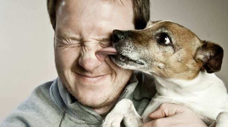 In theory, dogs love their humans more than cats. 