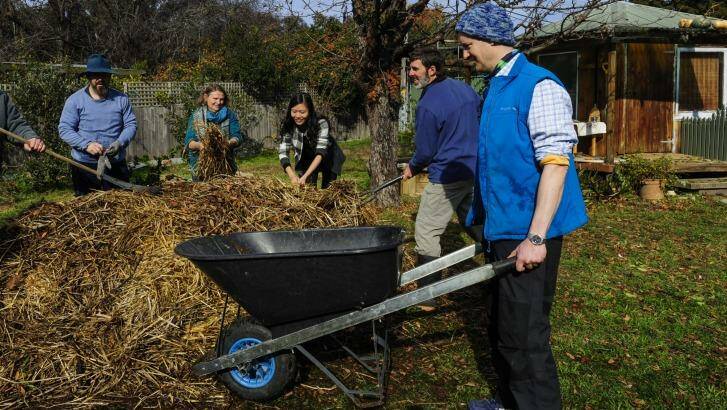 Digging the spirit: Andrew Bartolich, left, Claire-Louise Hayashi, Chelsea Wu, Chris Boswell and Paul Harvey working on the new compost heap. Photo: Melissa Adams 