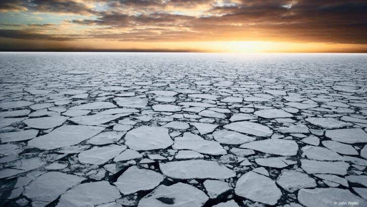 Ice on the Ross Sea. Photo: John Weller/Antarctic Ocean Alliance