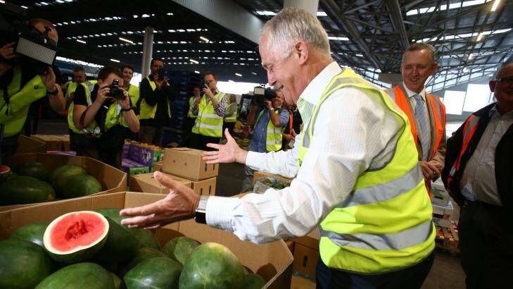 The Prime Minister admires the watermelons at the Brisbane Markets. Photo: Andrew Meares