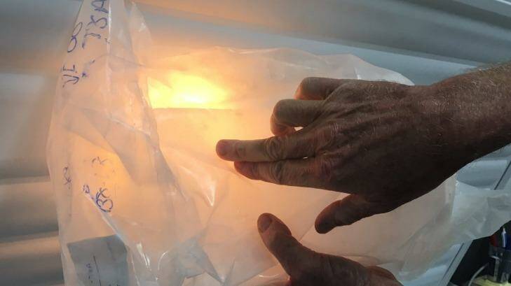 Ice core analysis is key to understanding the atmosphere's composition in the past. Photo: Supplied