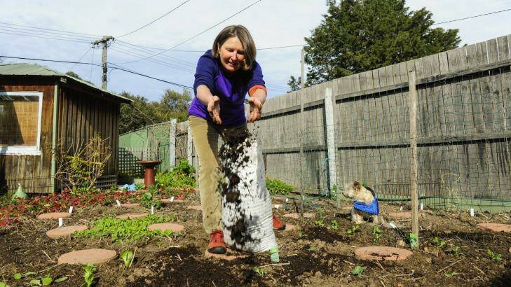 Organic growth: Petra Cram, of Rivett,  spreads compost in her garden. Photo: Melissa Adams 