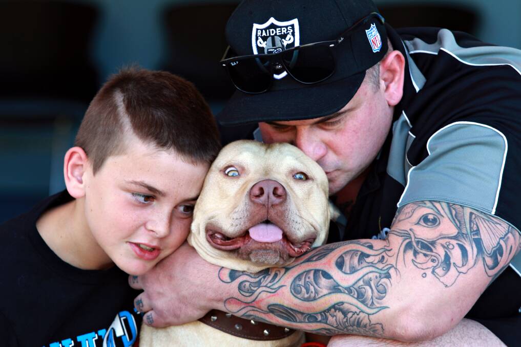Ljubisa and Andrej Stanic, 9, with Sonny the French Mastiff cross, is in favour of the moratorium on restricted dog breeds. Picture: KYLIE ESLER