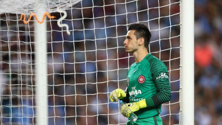 Hostile reception: Snakes were thrown from The Cove at former Sydney FC and now Western Sydney Wanderer's goalkeeper Vedran Janjetovic. Photo: Cameron Spencer