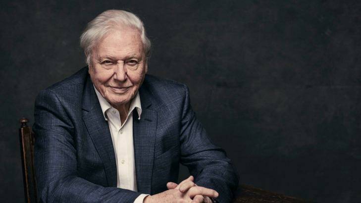 Sir David Attenborough is about to come to Australia and release Planet Earth II. Photo: Sarah Dunn