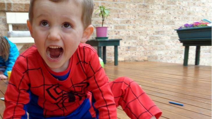 Missing: Searchers have spent the night combing bushland at Kendall for William Tyrell, 3, who was last seen on Friday in the front yard of a relative's home. Photo: Police Media