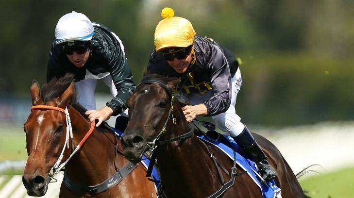 Unlikely to back up: Kerrin McEvoy riding Excess Knowledge (right) wins the Doncaster Prelude at Rosehill Gardens on Saturday. Photo: Brendon Thorne