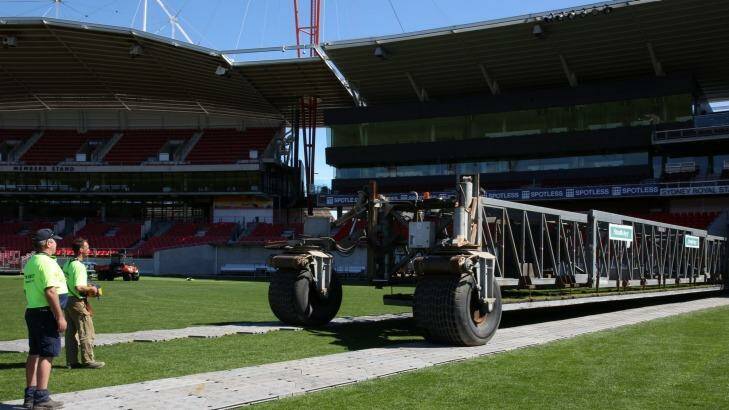 Anyone for cricket?: The Spotless Stadium drop-in pitch. Photo: Peter Rae