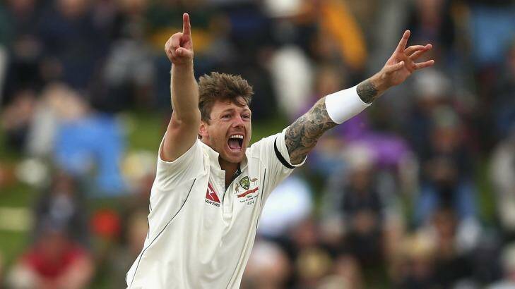Pattinson has played only 17 of a possible 53 Tests since his debut five years ago Photo: Pattinson has played only 17 of a possible 53 Tests since his debut five years ago