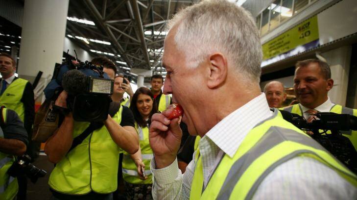 The Prime Minister tries some watermelon. Photo: Andrew Meares