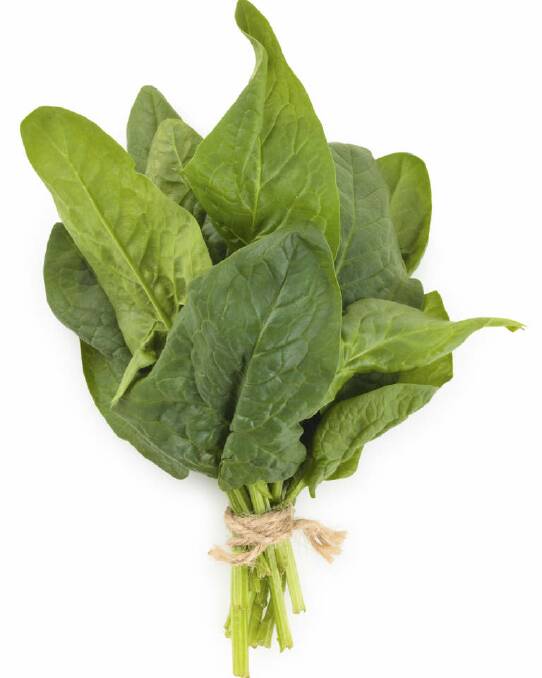 Pantry staples: fresh spinach. Photo: iStock