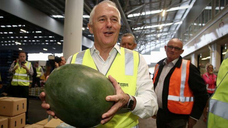 Prime Minister Malcolm Turnbull on his visit to the Brisbane Markets on Monday.  Photo: Andrew Meares