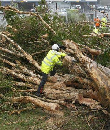 Crews work to remove a tree fallen across King Street, Newcastle. Photo: Max Mason-Hubers