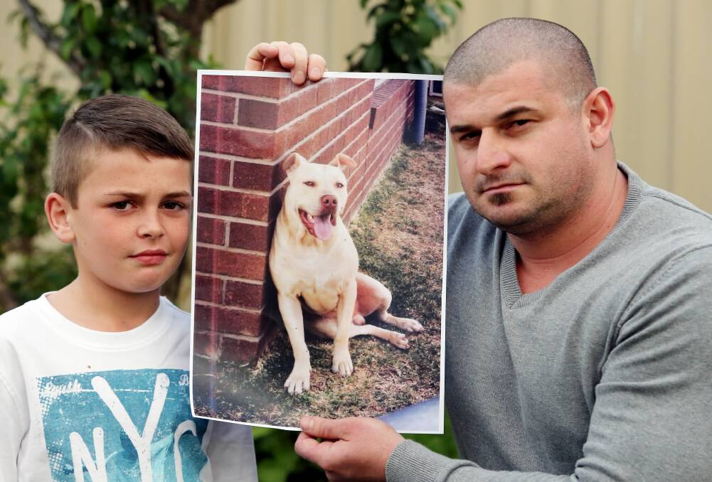 Andrej Stanic, and his father Ljubisa, say they just want their pet dog returned to his home. Picture: PETER MERKESTEYN