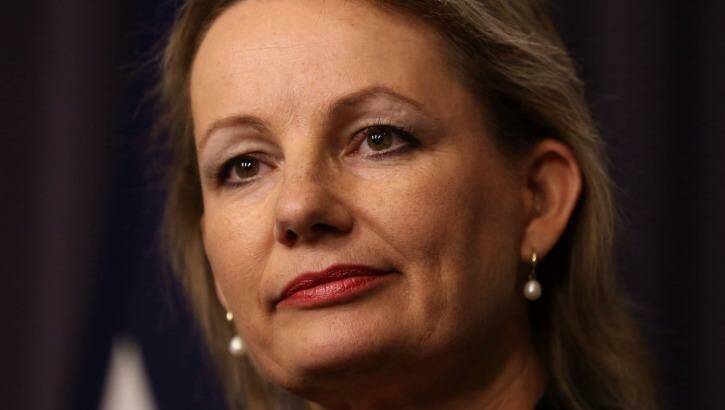 Sport  Minister Sussan Ley said it was ''inappropriate to be talking about putting more taxpayers' funds into a rebid when we have serious allegations about corruption unfolding''. Photo: Andrew Meares