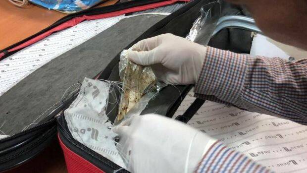 The sides of the suitcase where the drugs were allegedly hidden.  Photo: Supplied
