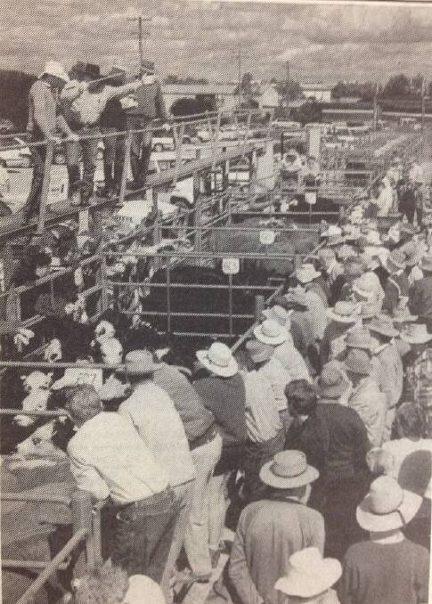 The Wagga Store Market saw another large yarding with 1800 head with 85 per ccent clearance achieved, as reported in The Rural on April 2, 1993.