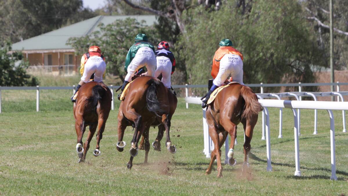 FOUR WILL DO: Four horses compete in last year's inaugural Mountaineer Cup over 3200 metres at Murrumbidgee Turf Club. The club is hopeful it can attract a four-horse field for Tuesday's event. Picture: Les Smith