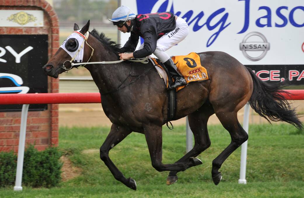 CONTENDER: Scatcat bolts in to take out last year's Stan Sadleir Stakes (1200m) by 5½ lengths at Wagga. Scatcat is one of Brett Cavanough's three finalists for the SDRA Horse of the Year award. Picture: Michael Frogley