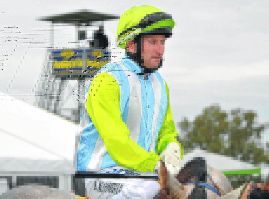 CUP CHANCE: Wagga jockey Andy Bloomfield will ride hometown hope Allelu in the $80,000 Wodonga Cup (1600m) for trainer Sylvia Thompson on Friday. Picture: Kieren L Tilly