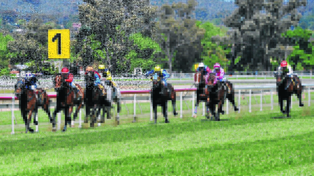 FIGHTING FINISH: Gunner (left) and Ramsays Curse (right) fight out the finish to the Riverina Hotel League Of Their Own Mile Open Handicap (1600m) at Murrumbidgee Turf Club on Saturday. Pictures: Laura Hardwick