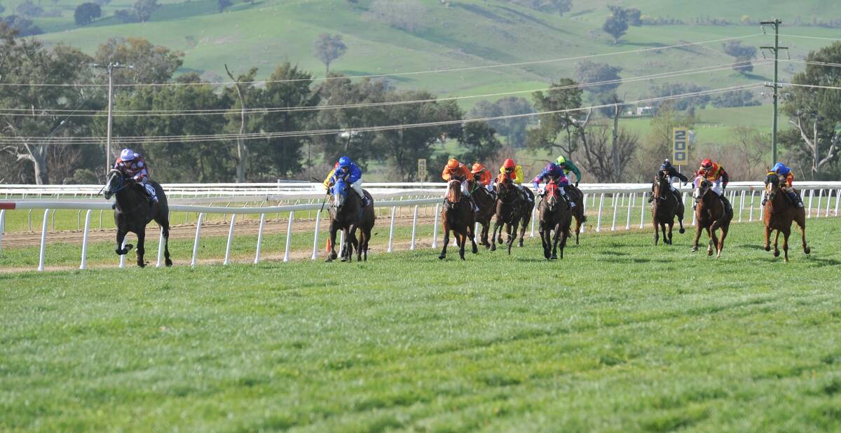 COSTLY MISTAKE: Gundagai racecourse was the scene off an error by a judge at the TAB meeting last Sunday.