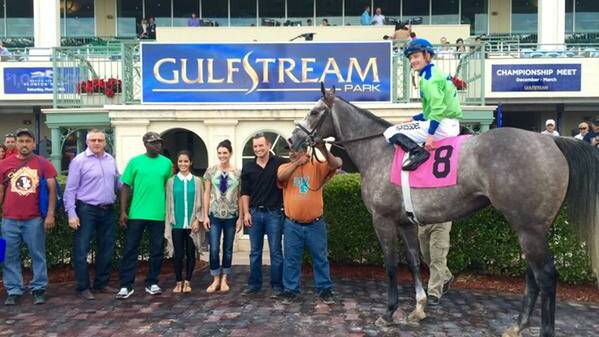 HAPPY DAYS: Power Alert returns victorious after his first start in America at Gulfstream Park. Picture: Catie Staszak